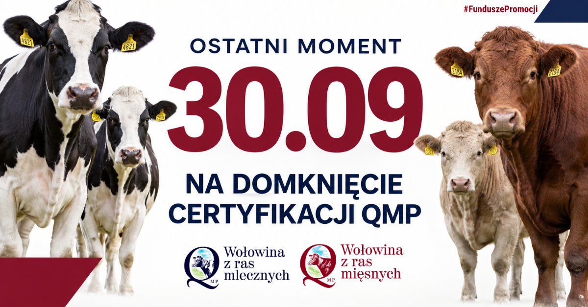Ostatni moment na&nbsp;domknięcie certyfikacji QMP