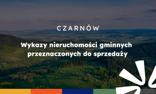 Grafika tytułowa z&nbsp;napisem dotyczącym artykułu.