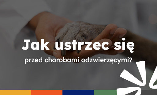 Zdjęcie do Jak ustrzec się przed chorobami odzwierzęcymi?