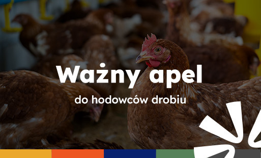 Zdjęcie do Ważny apel do hodowc&oacute;w drobiu - konieczność przestrzegania zasad bioasekuracji