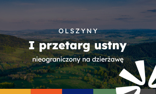 Zdjęcie do W&oacute;jt Gminy Kamienna G&oacute;ra ogłasza I przetarg ustny nieograniczony na dzierżawę