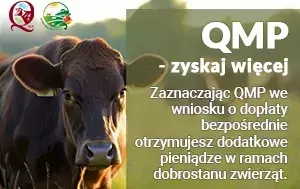 Zdjęcie do Ekoschemat &bdquo;Dobrostan zwierząt&rdquo; Dodatkowe pieniądze dla hodowc&oacute;w bydła z QMP &ndash; tylko do 16 czerwca !