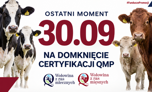 Grafika przedstawiająca hasło: ostatni moment na domknięcie certyfikacji QMP. 